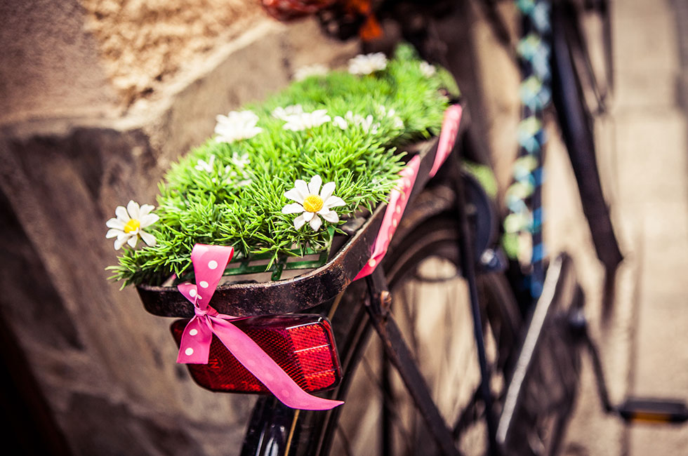 Blomplantering cykel