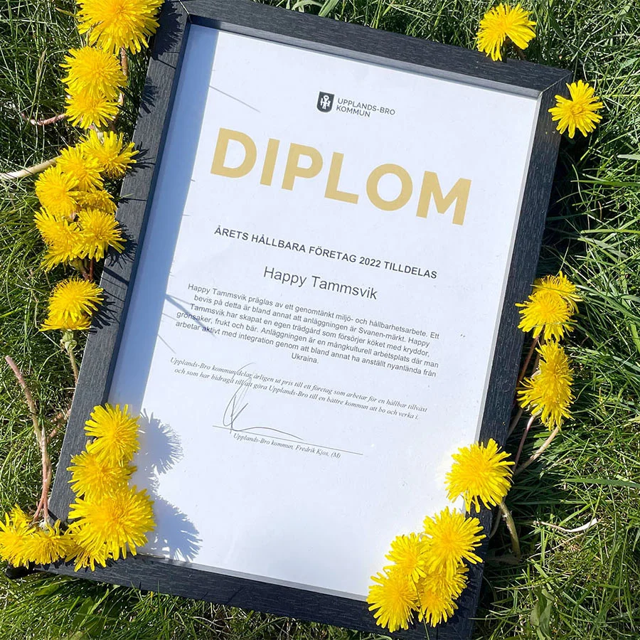 Diplom